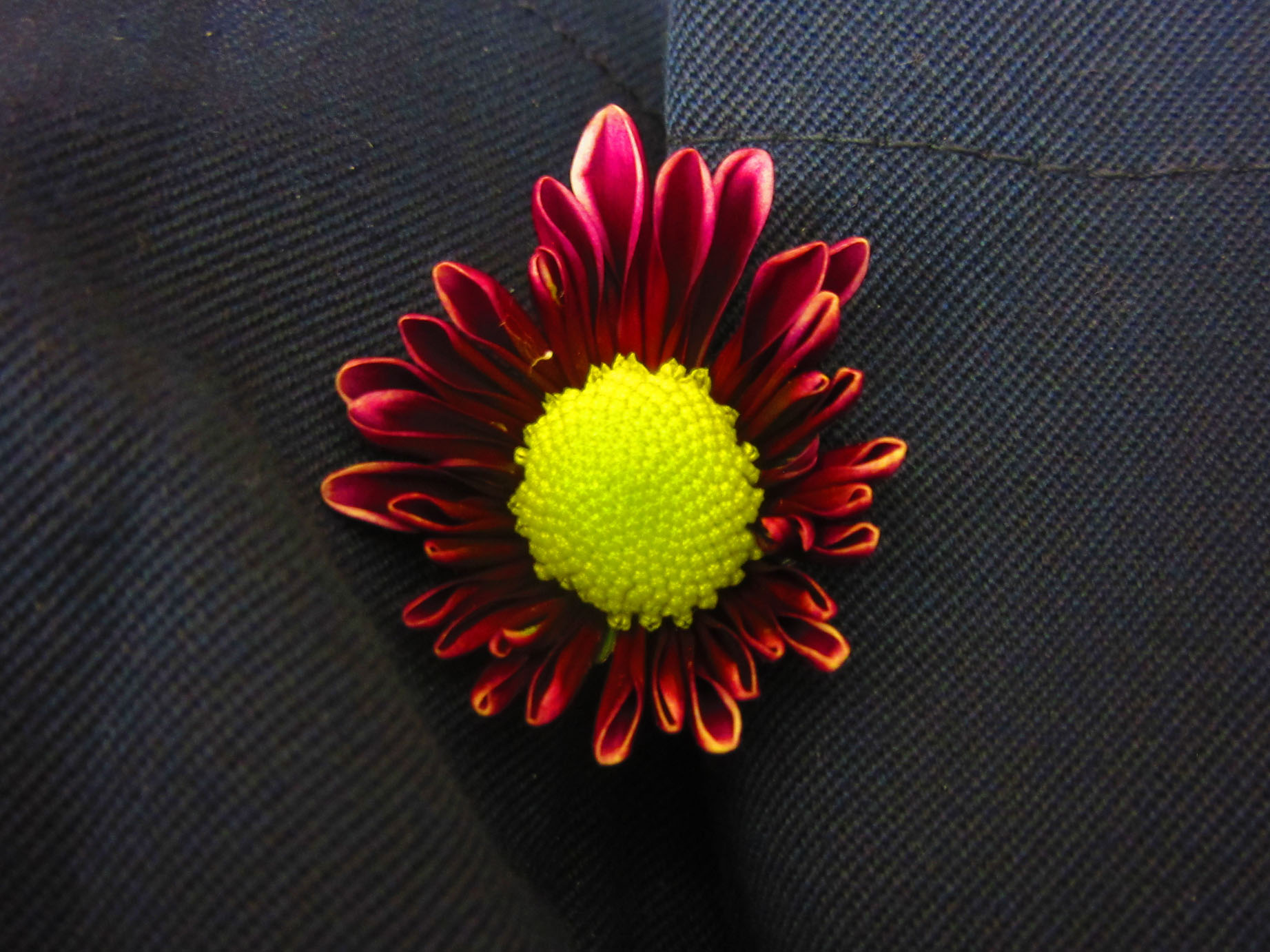 _flowers_stp_20141125_5324