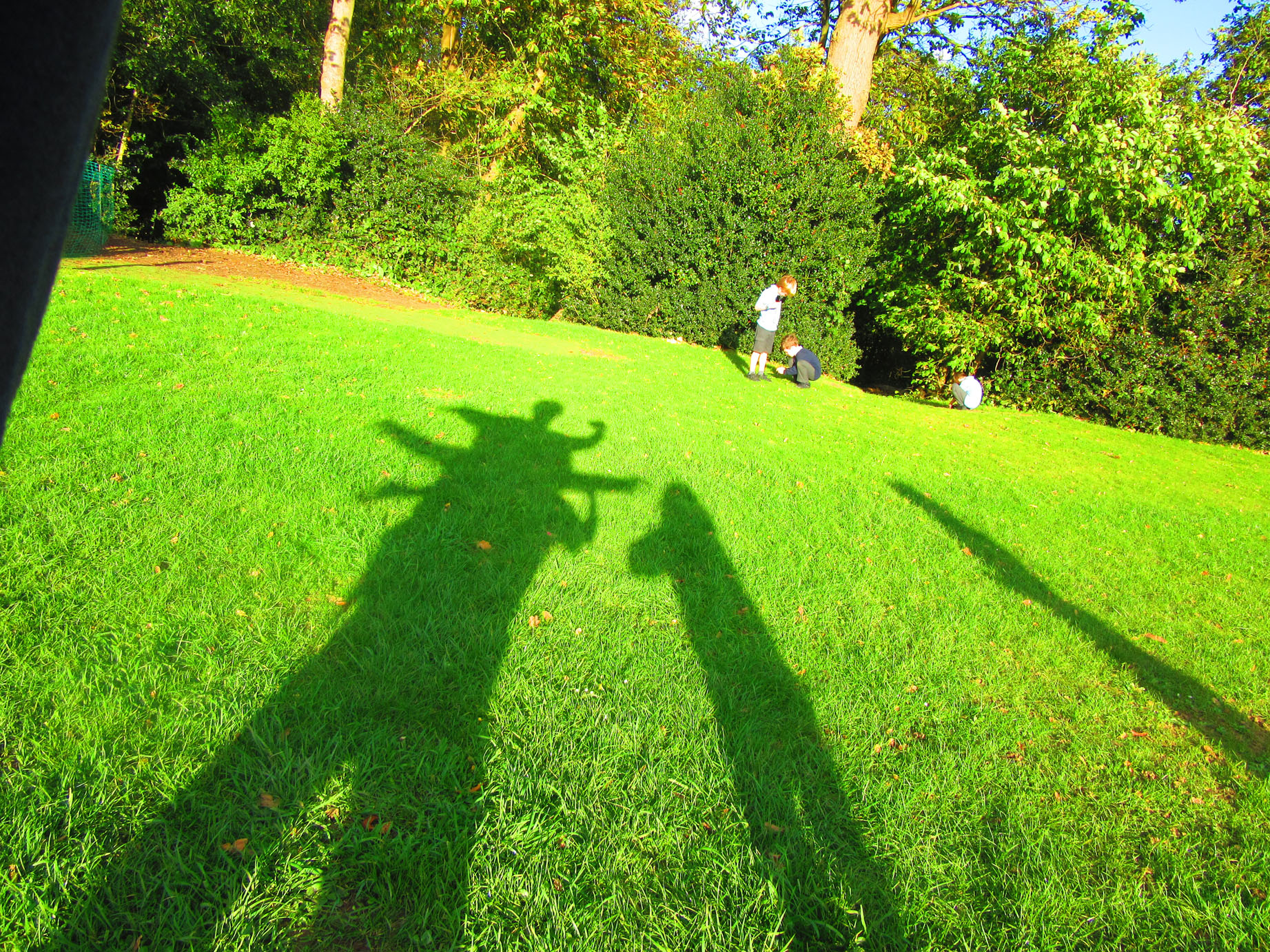 _autumn_stp_20141021_4464