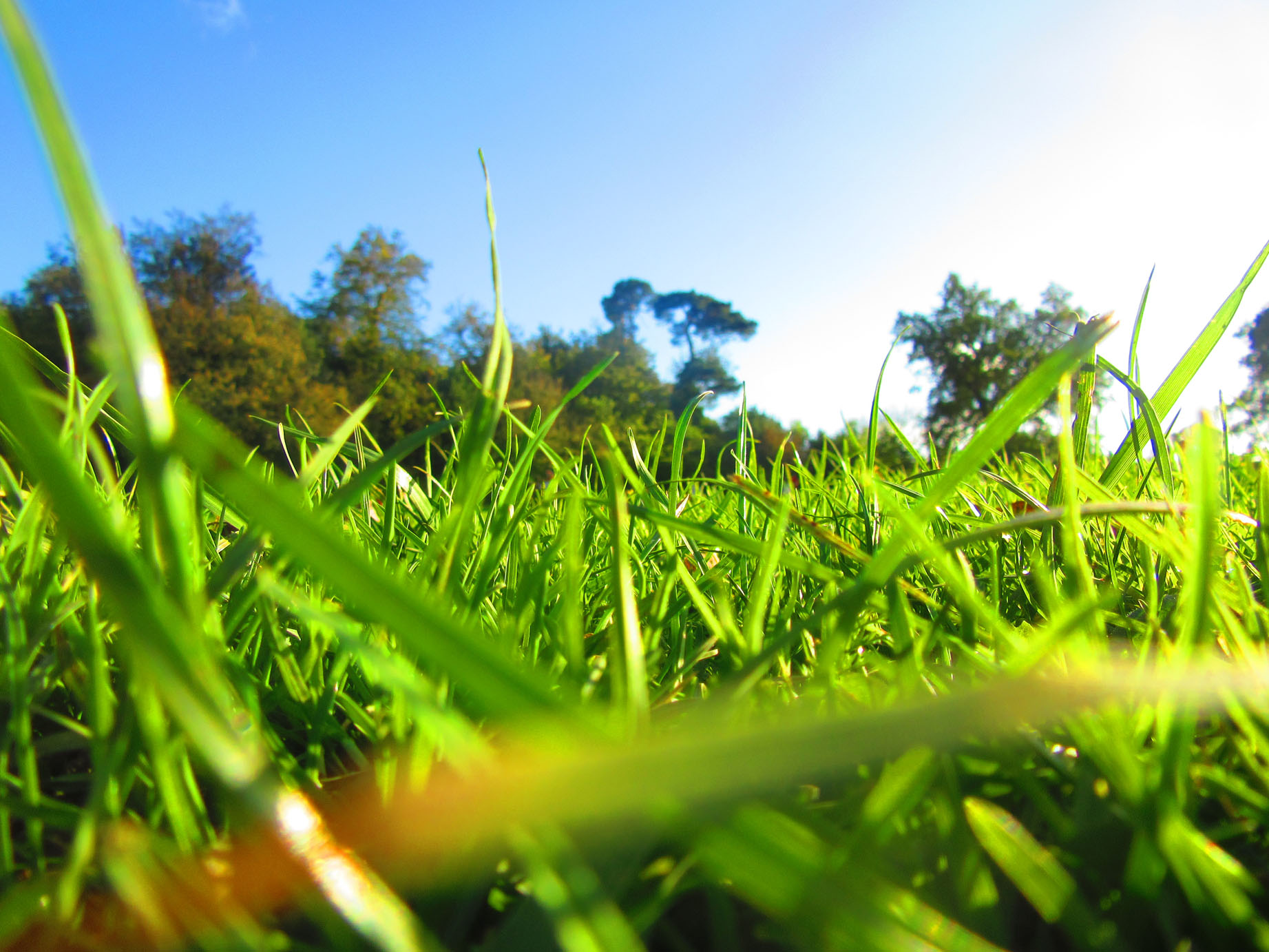 _autumn_STP_20141021_2790