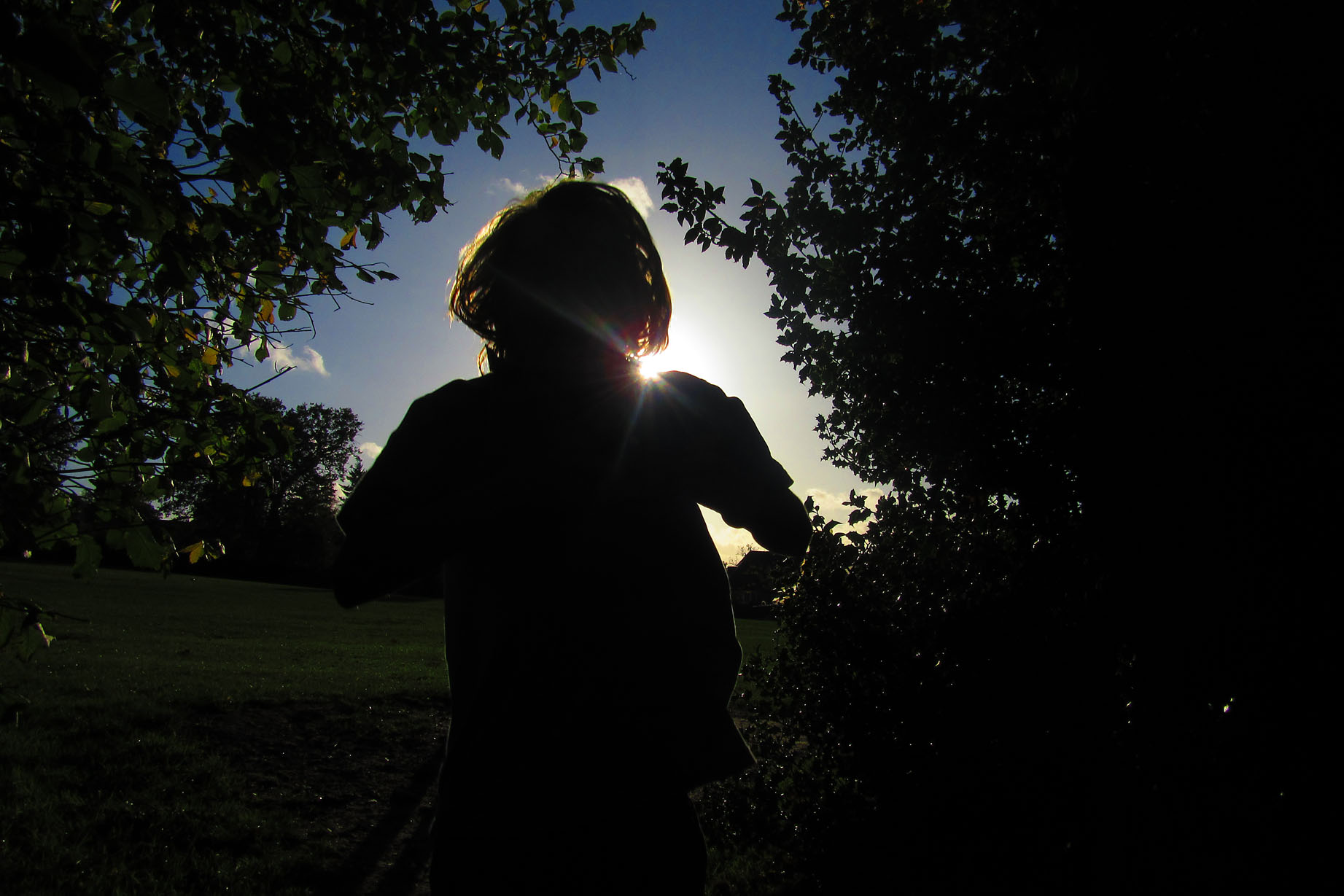 t_autumn_STP_20141021_3590