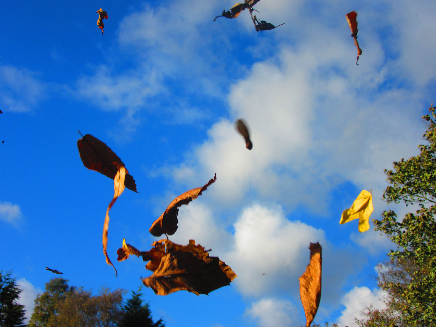 r_autumn_atp_20141021_4209
