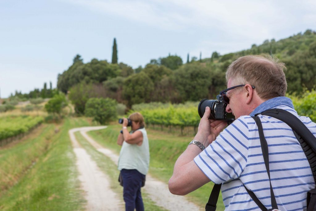photography vacations in italy - vineyards